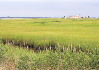 Image showing Marsh