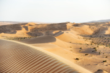 Image showing Desert Wahiba Oman