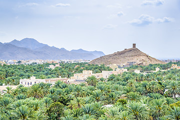 Image showing View Birkat al mud