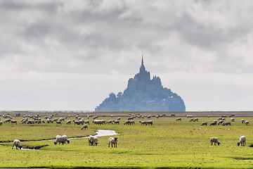 Image showing Mount St Michel in Normandy