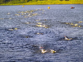 Image showing triathlon swim