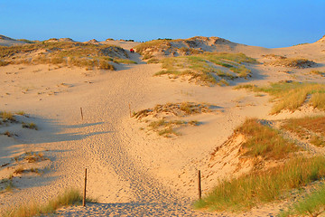 Image showing Large dune