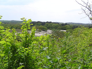 Image showing Woodland view.