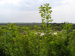 Image showing Woods View 2