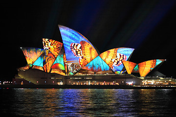 Image showing Vivid Sydney, Sydney Opera House with colourful butterfly imager