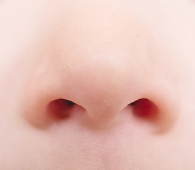 Image showing baby nose