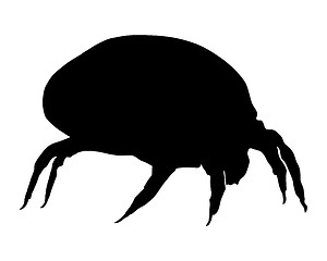 Image showing The illustration of a house dust mite