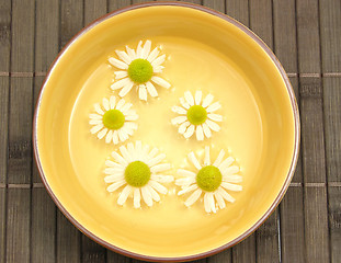 Image showing Camomile blooms swim in the water of a  ceramic bowl