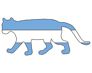 Image showing Cougar Argentina