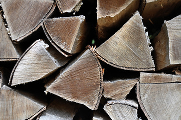 Image showing Wood pile