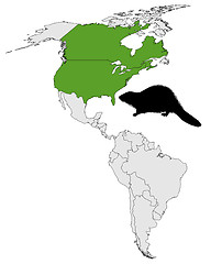 Image showing Distribution of canadian beaver 