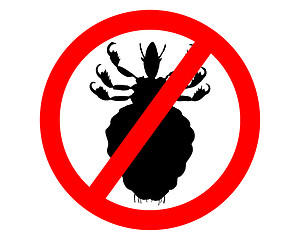 Image showing Prohibition sign for lice on white background