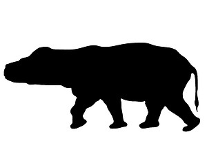 Image showing Hippo Silhouette