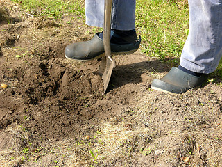 Image showing Cutout man with spade doing work in the garden