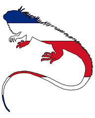 Image showing Iguana Costa Rica