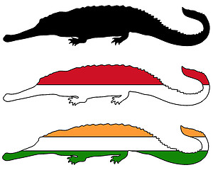 Image showing Gharial flags