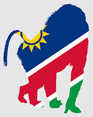 Image showing Baboon Namibia