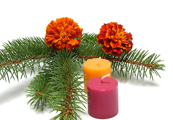 Image showing A single twig of fir with candles and marygold