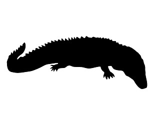 Image showing Caiman Silhouette