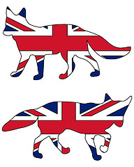 Image showing British Fox