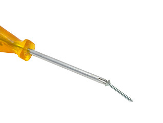 Image showing Crosstip screwdriver with screw