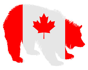 Image showing Canadian bear