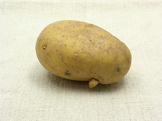 Image showing Singel unpeeled potato on a beige background