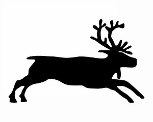 Image showing reindeer