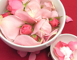 Image showing Pink roses and cream in  white bowls of chinaware on red background