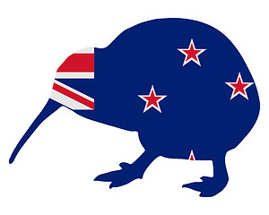 Image showing New Zealand kiwi