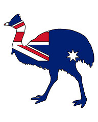 Image showing Kassowary Australia