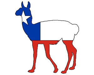 Image showing Guanaco Chile