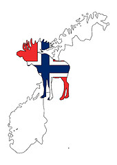 Image showing Norwegian moose