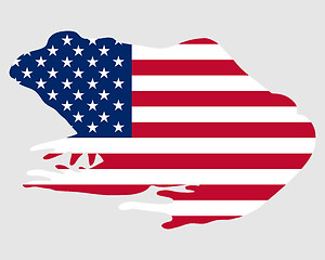 Image showing Bullfrog USA