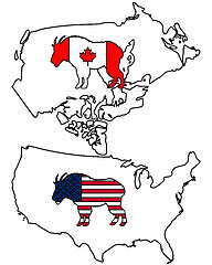 Image showing Mountain goat Northamerica