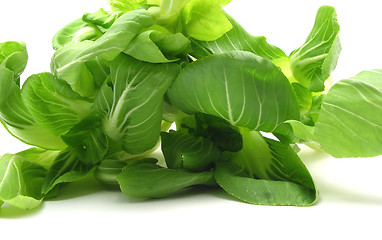 Image showing Pak choi arranged on a white background