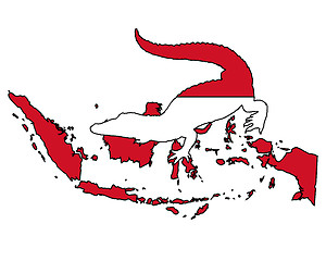 Image showing Crocodile Indonesia