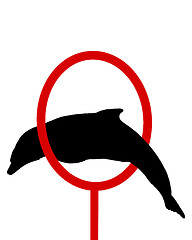 Image showing Dolphin silhouette