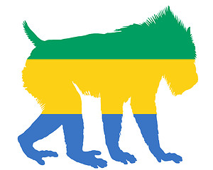 Image showing Mandrill Gabon