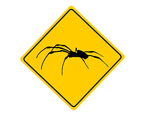 Image showing Spider warning sign