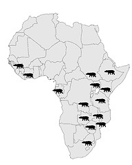 Image showing Hippo Africa range