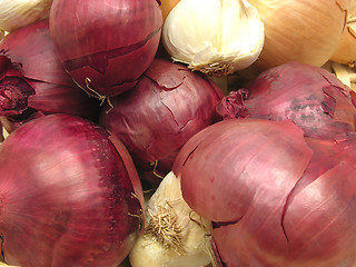 Image showing Red Onions and white garlics in a close-up view