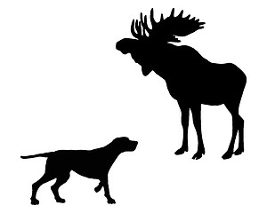 Image showing Two animals, setter and moose meet face to face