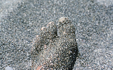 Image showing Foot with sand