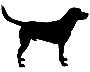 Image showing Labrador silhouette