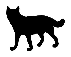 Image showing The black silhouette of a wolf on white
