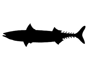 Image showing Atlantic Mackerel silhouette