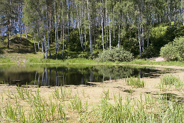 Image showing forest lake