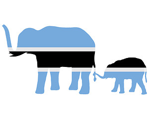 Image showing Botswana elephants