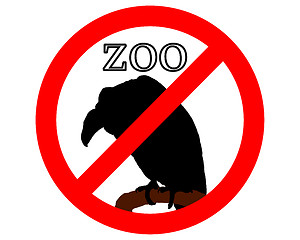 Image showing Vulture in zoo prohibited